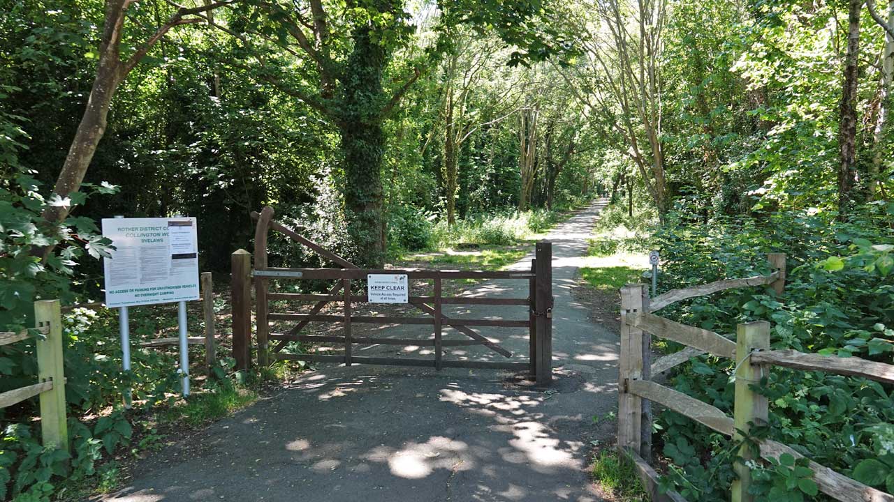 Bexhill Nature Collington Wood